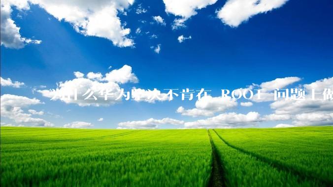 为什么华为坚决不肯在 ROOT 问题上做出让步？